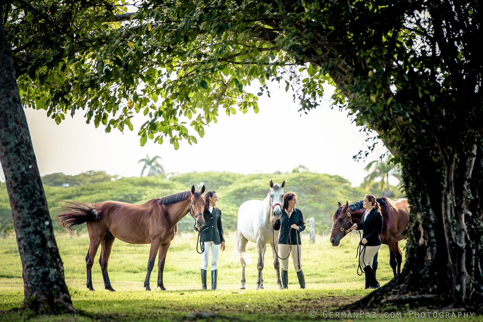 Equestrian Centre