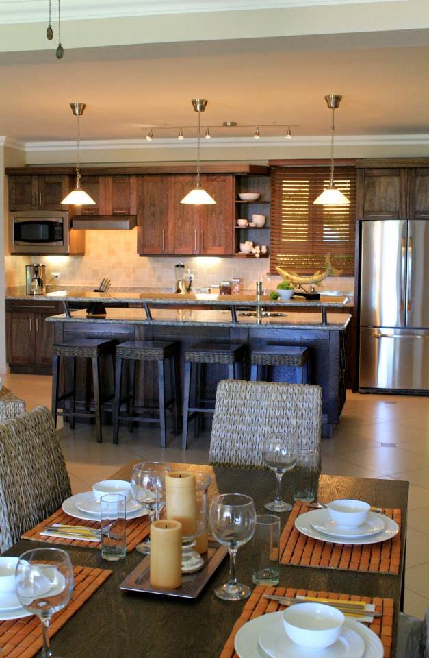 Open Kitchen Concept