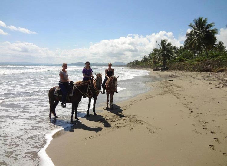 Horseback Riding Cabarete Beach